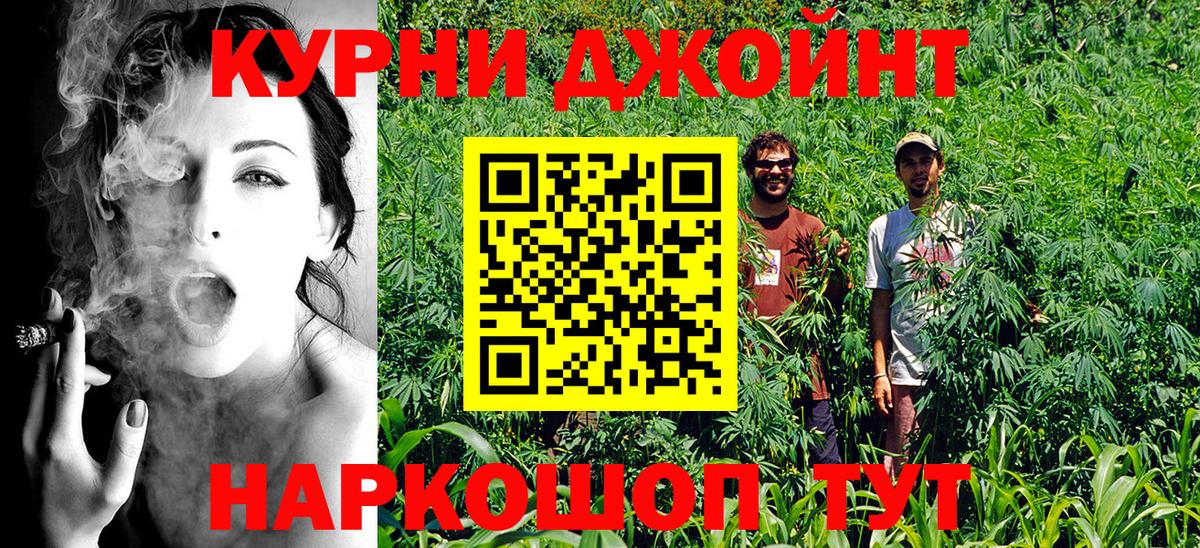 Конопля Bruce Banner  МАРИХУАНА семена  МАРИХУАНА THC 21%  Вход с VPN  Изобильный 